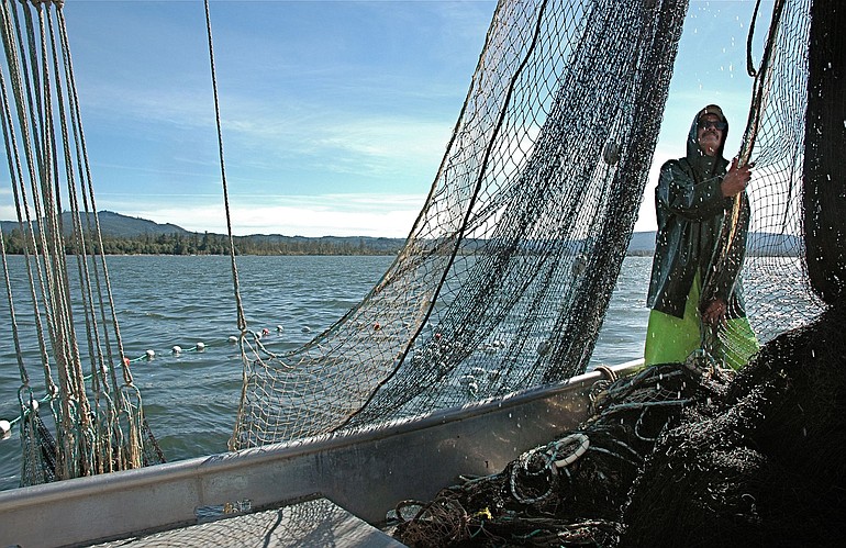 Commercial fishing alternatives to get additional testing - The Columbian