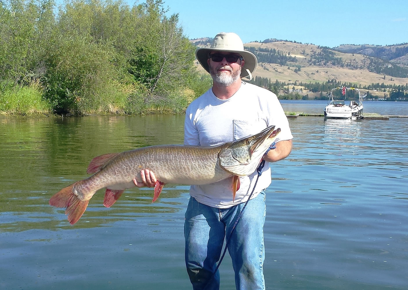 Tiger muskies rule at Curlew Lake - The Columbian