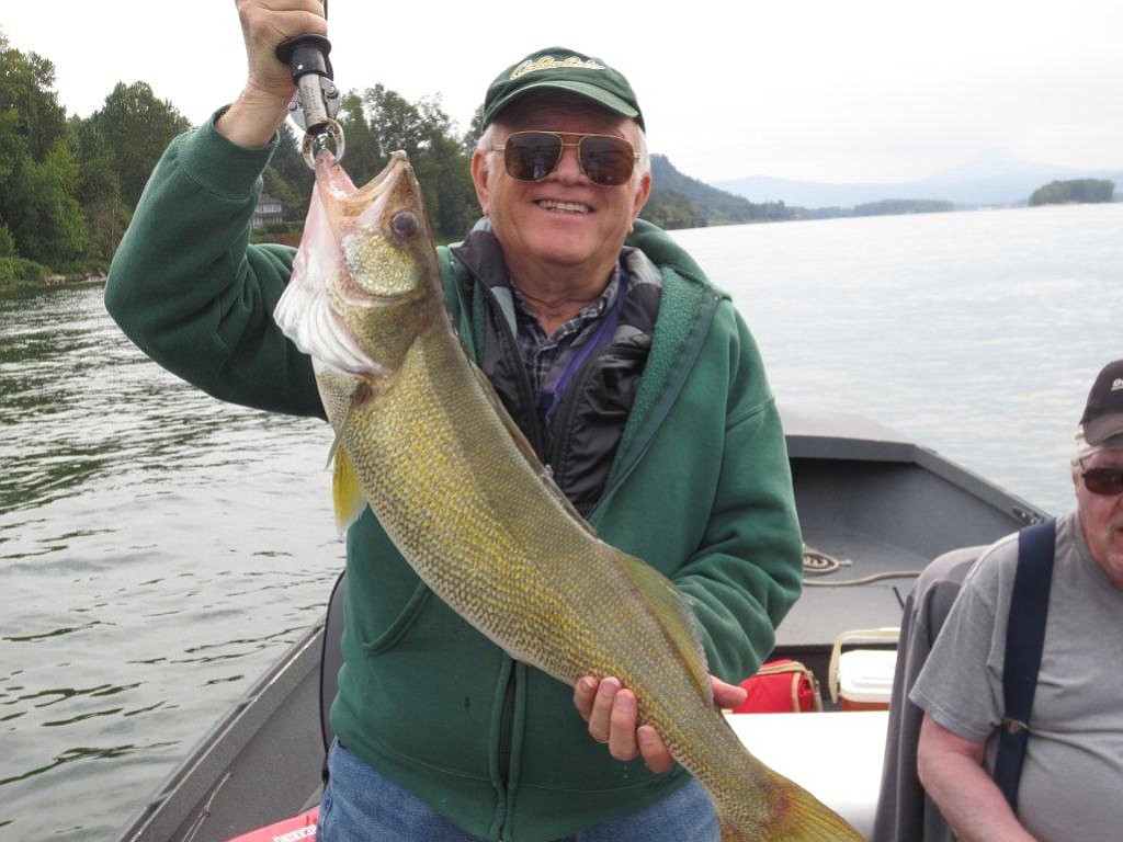 State proposes no limits on lower Columbia bass, walleye catch