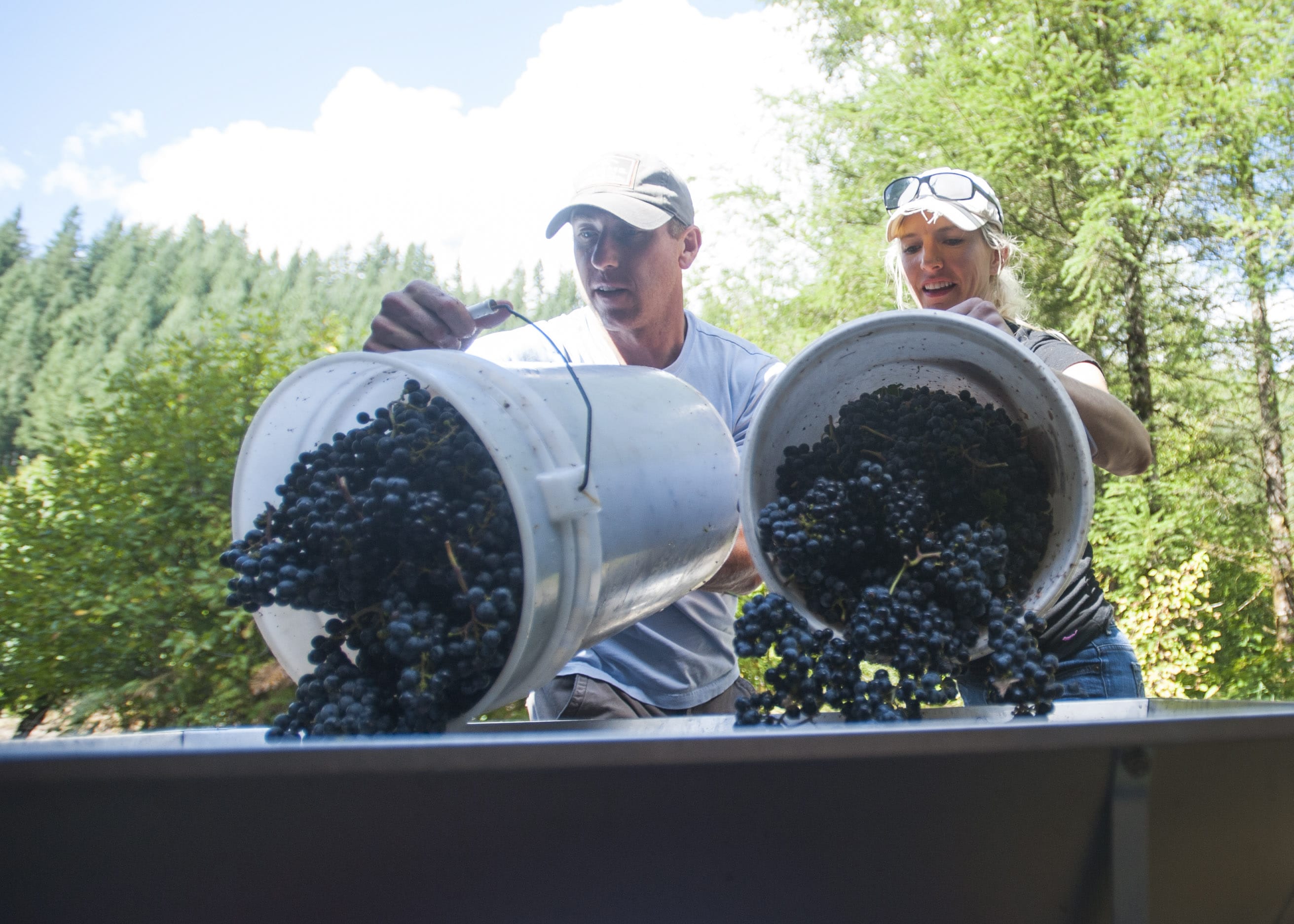 Winemakers develop a crush - The Columbian