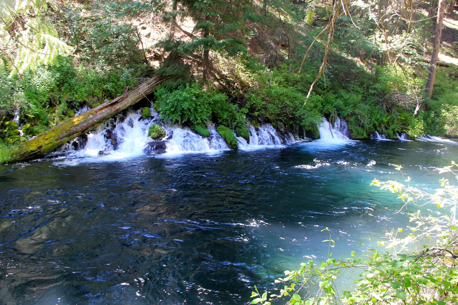 Pay a visit to glorious Metolius - The Columbian
