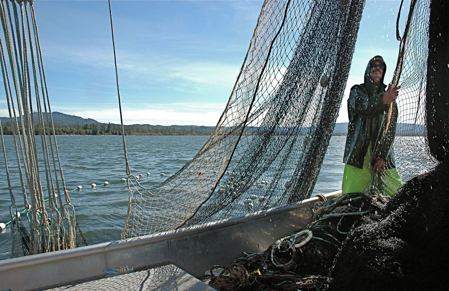 Scientists debate tropical tuna fishery's future with purse seine operators  - FiskerForum