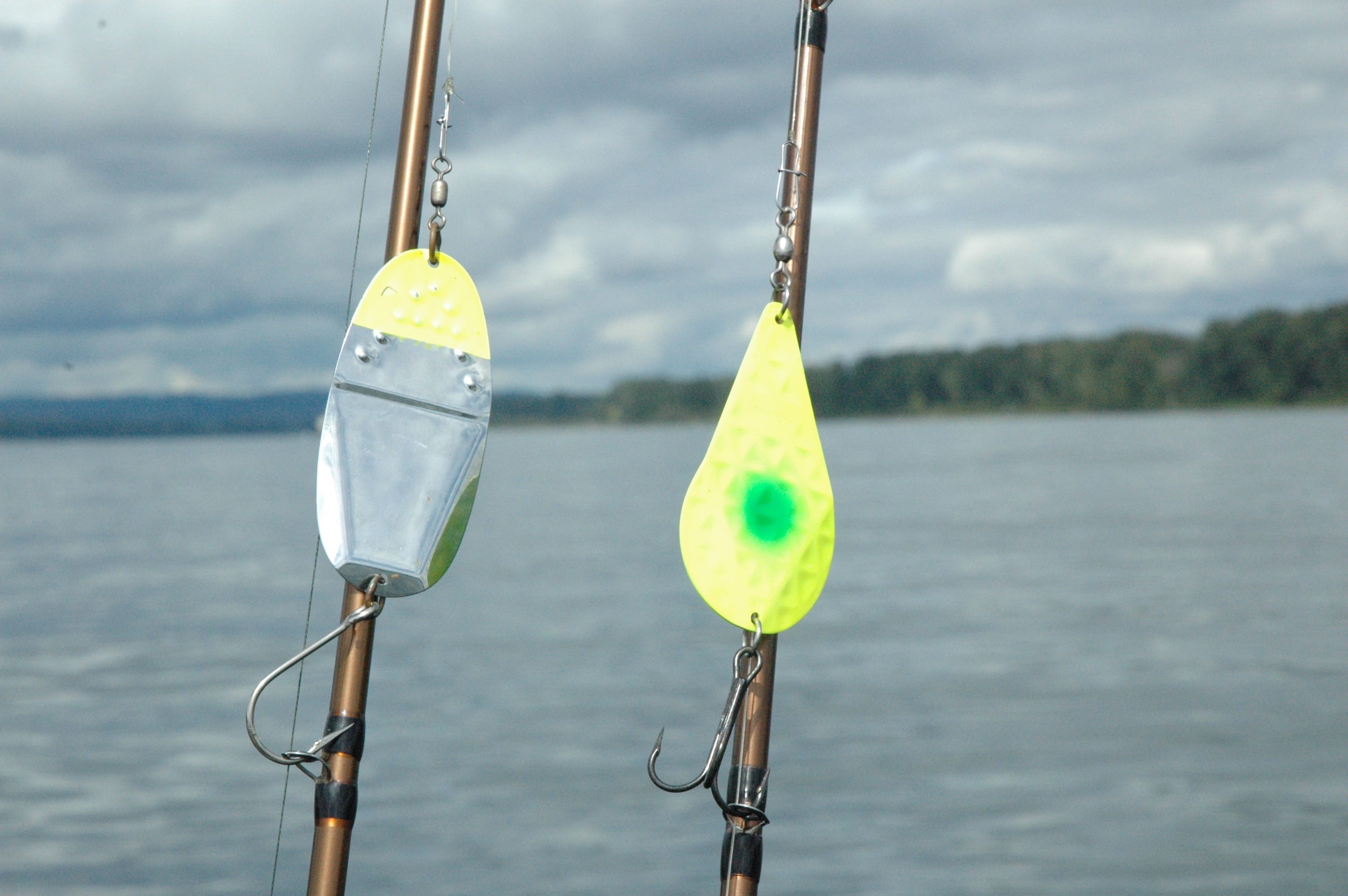 Wobblers catch Columbia River chinook trolling, too - The Columbian