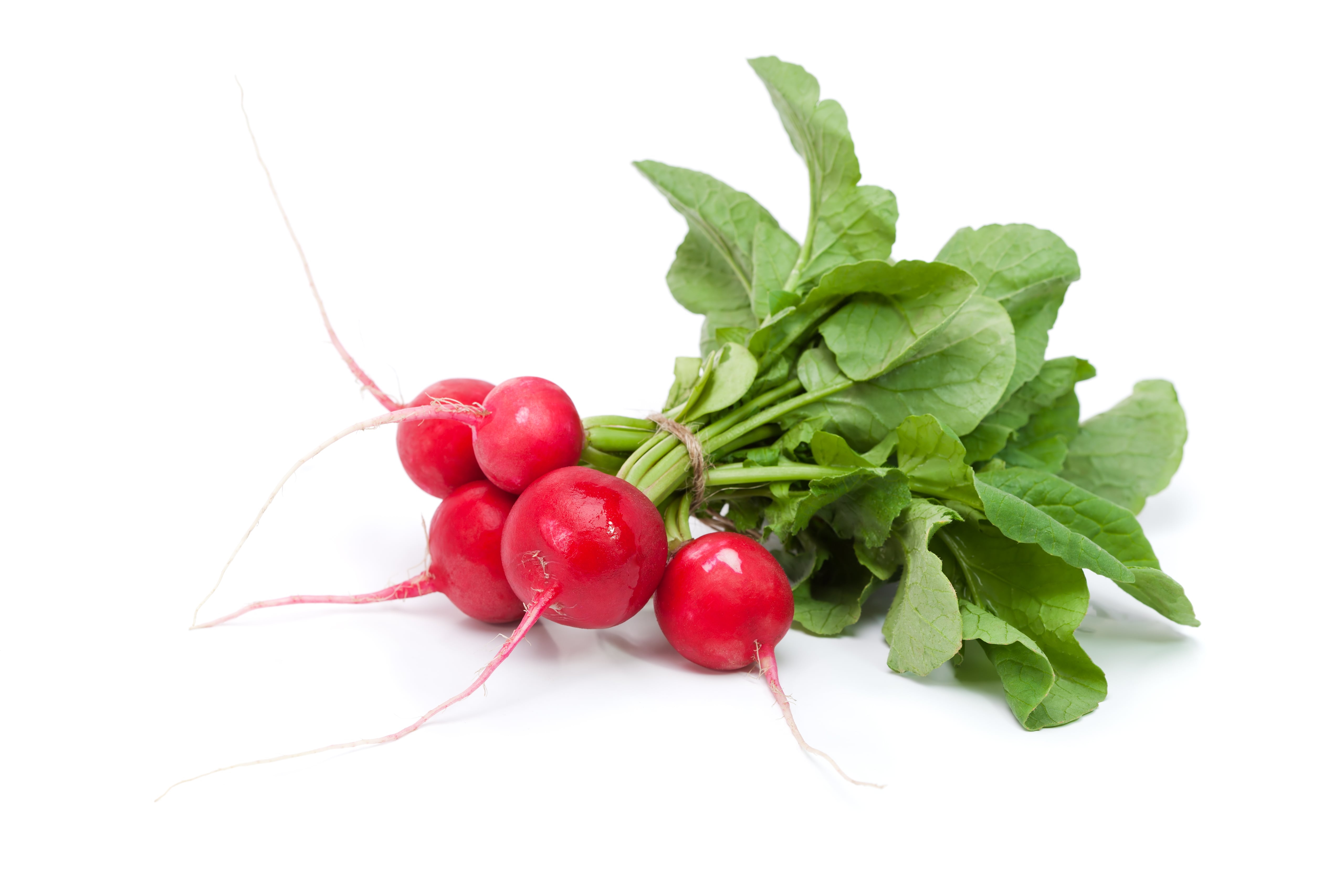 Market Fresh Finds: Radishes perfect for much more than garnish - The  Columbian