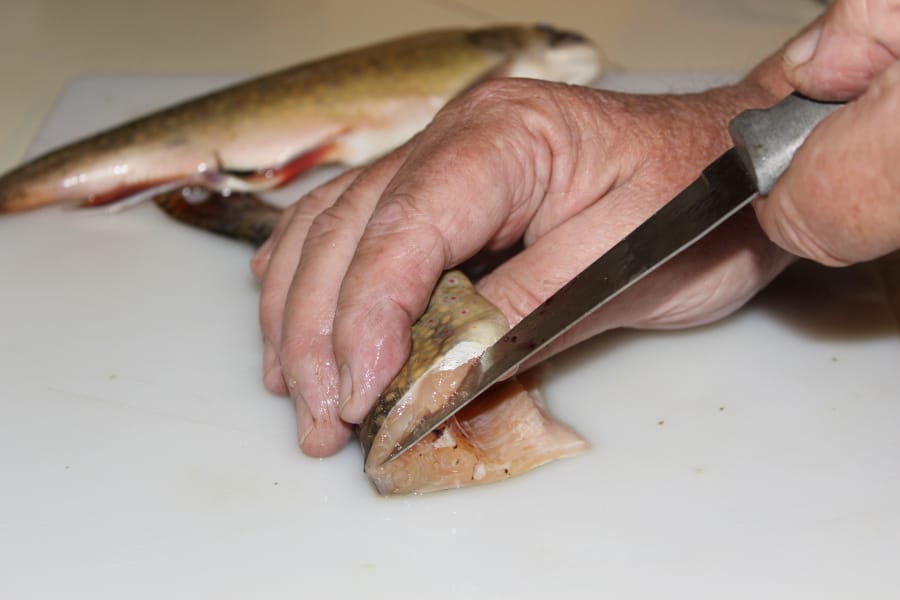 Simple method of boning a trout - The Columbian