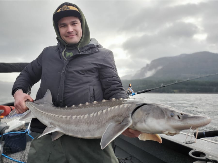 Sturgeon fishing to open Jan. 1 on several portions of Columbia