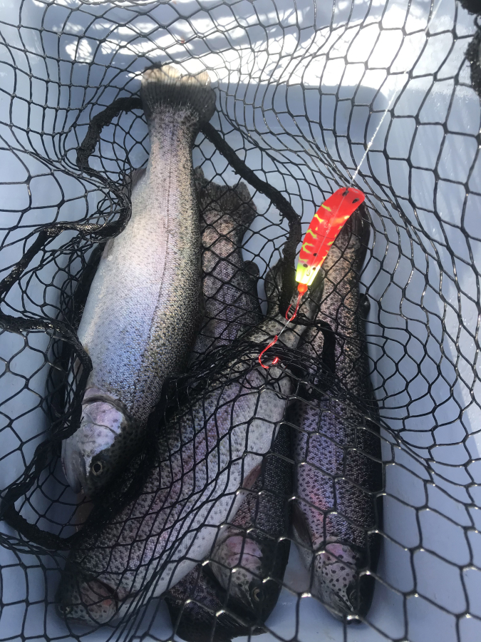 Washington lakes stocked for Black Friday trout fishing - The Columbian