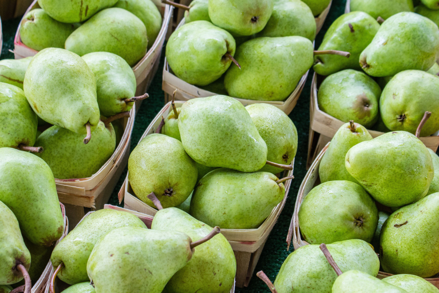 Comice Pears - Washington Comice Pear Growers - Washington Fruit